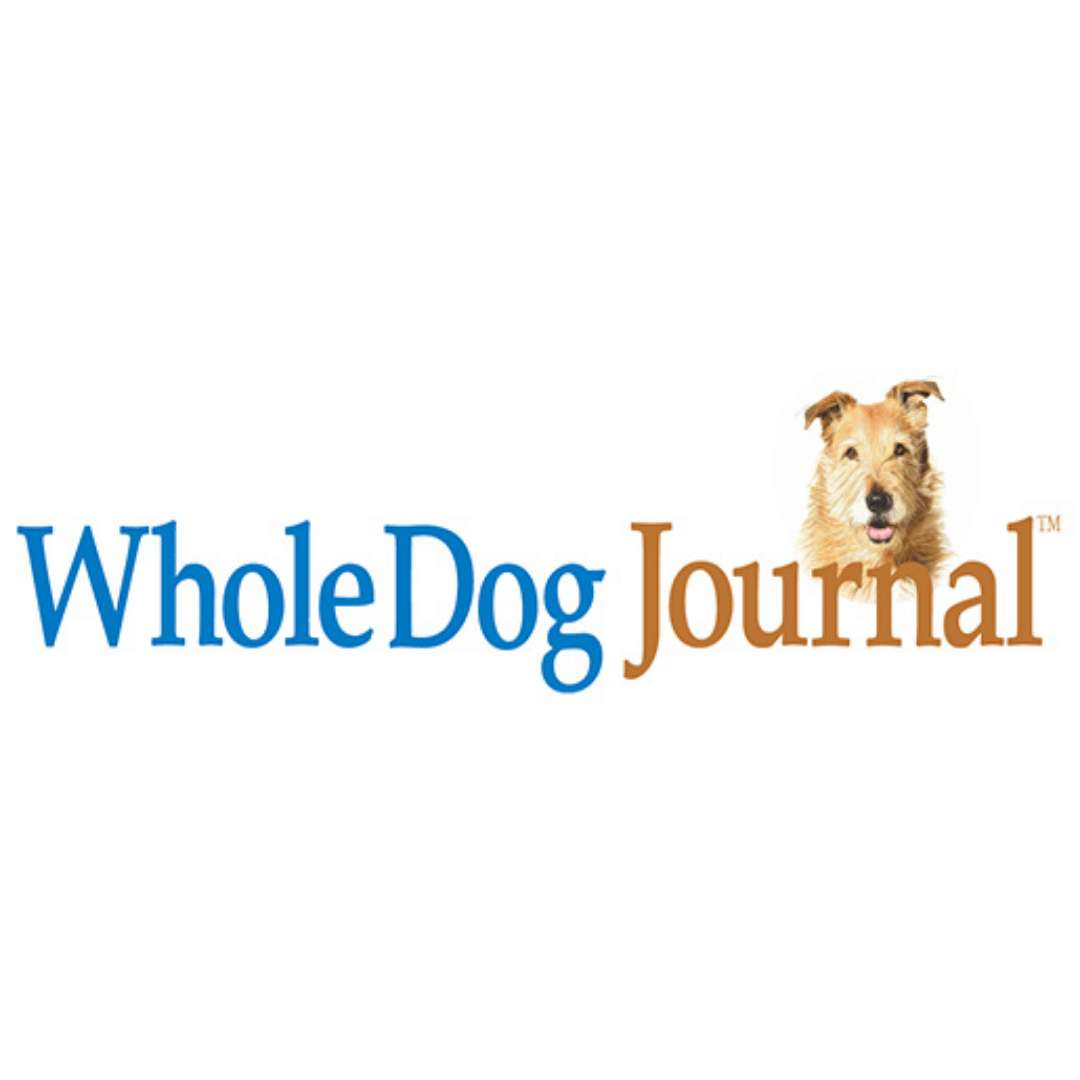 The Best Food Dispensing Dog Toys - Whole Dog Journal