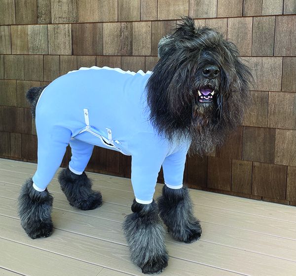Dog Recovery Suit,Dog Pants to Prevent Licking Dog Onesies for Surgery  Recovery for Small,Medium & Large Dogs Grey