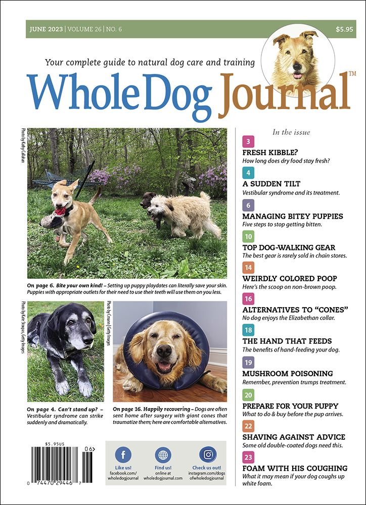 Download The Full June 2023 Issue PDF Whole Dog Journal