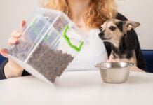 Human grade dog food is not necessarily the same as quality dog food.