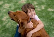 Be BiteSmart aims to keep kids and dogs safe by educating kids about dog body language and preventing bites.