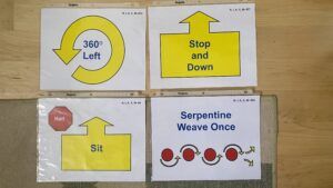 Signs are part of a rally obedience course that tests the connections between an owner and their dog.