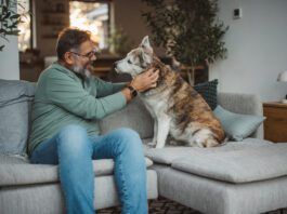 Keeping dogs off the sofa and other furniture is a training exercise.