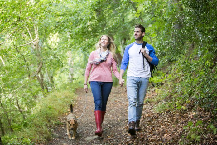 Dogs can get poison ivy, and it is a hazard to be avoided on woodland walks.