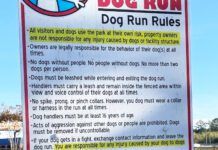 Dog park rules are often listed on signs like the one displayed here.