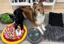 The best dog snuffle mats offer a balance of engagement, stimulation, and ease of cleaning.