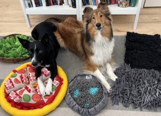 The best dog snuffle mats offer a balance of engagement, stimulation, and ease of cleaning.