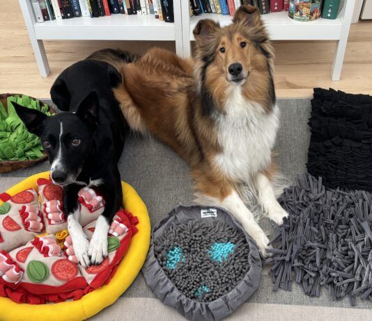 The best dog snuffle mats offer a balance of engagement, stimulation, and ease of cleaning.