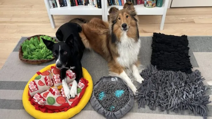 The best dog snuffle mats offer a balance of engagement, stimulation, and ease of cleaning.