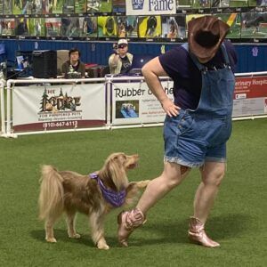 Dog dancing often includes costumes to emphasize the routine.