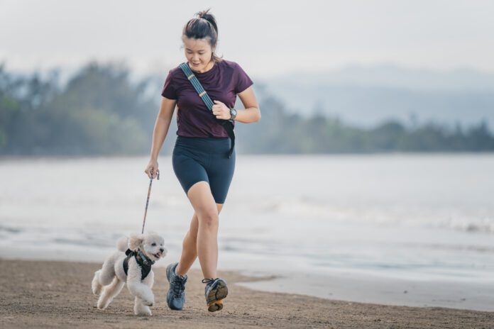 Knowing how to calm a dog down is necessary both indoors and outdoors.