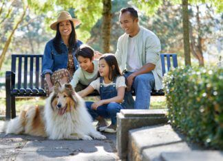 The best family dogs are a product of training and management.