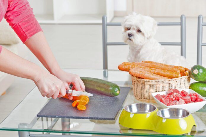 Homemade dog food recipes must include complete and balanced nutrition in order to be healthy.