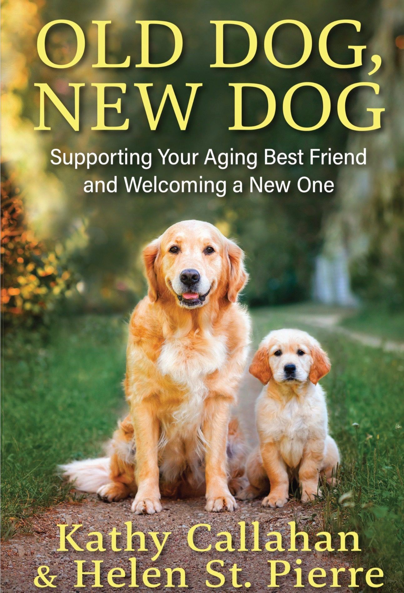 The cover of the book, "Old Dog, New Dog," from author Kathy Callahan.