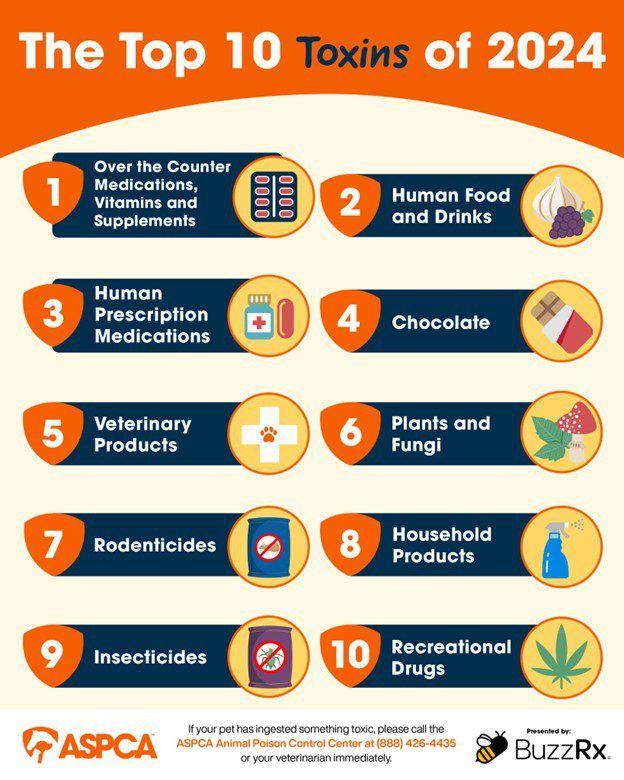 A chart showing the top 10 reasons for calls to the ASPCA animal poison control centers.