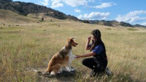 Free free training offers a way to bond with your dog.