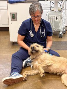 Nancy Kerns dog examined by a vet.